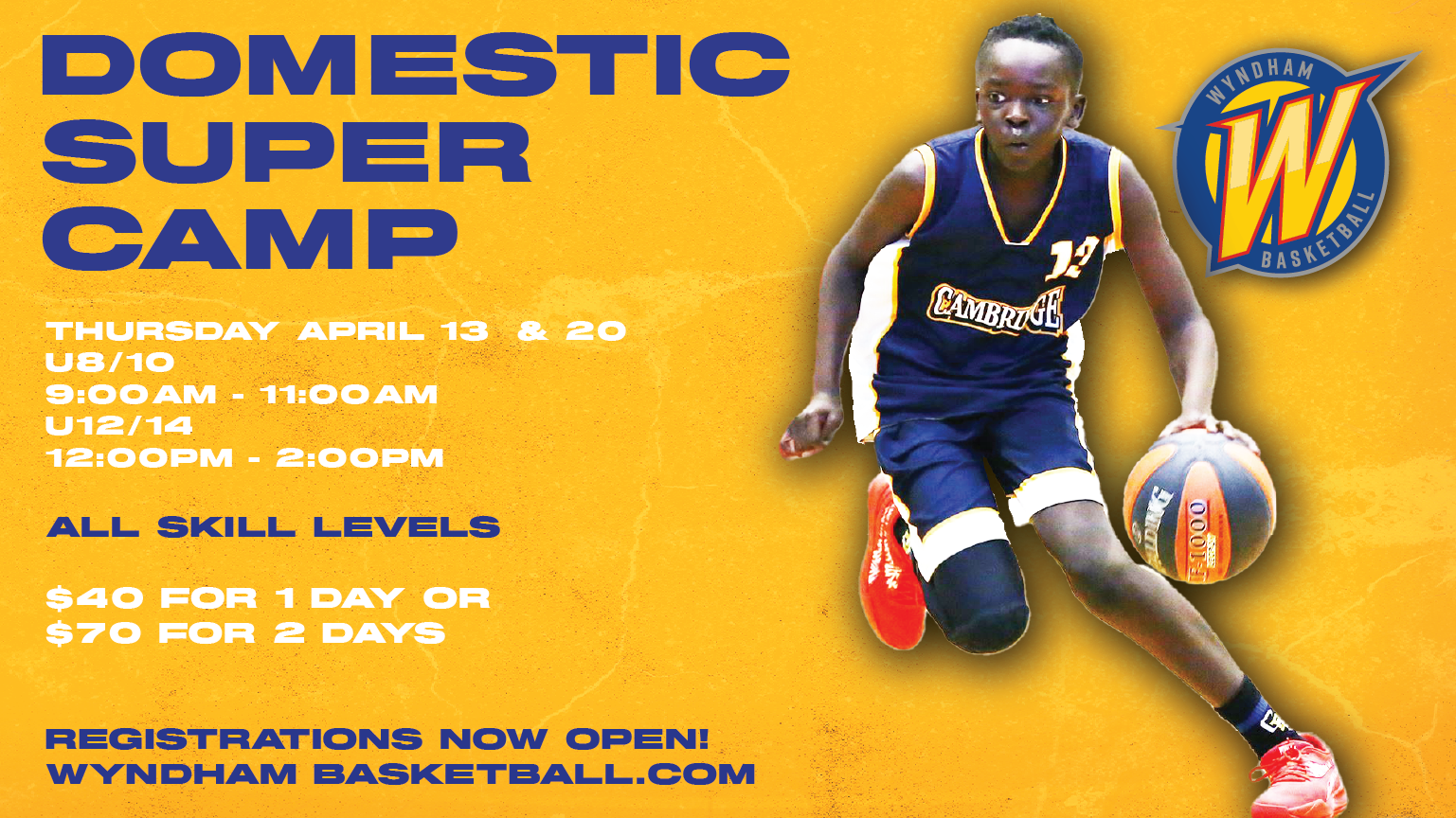 Domestic Super camp Term 2 2023 Wyndham basketball